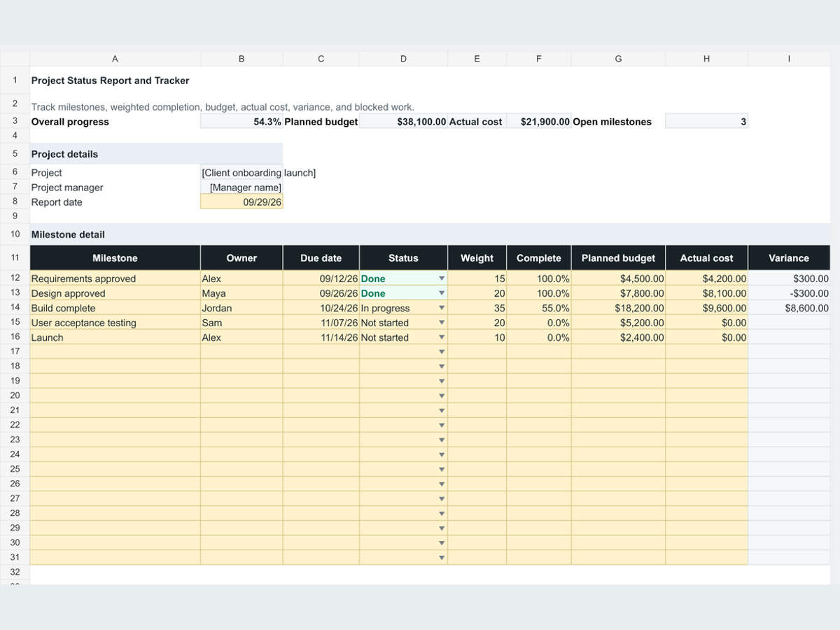 Project Status Report & Tracker